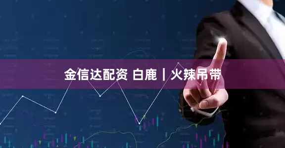 金信达配资 白鹿｜火辣吊带